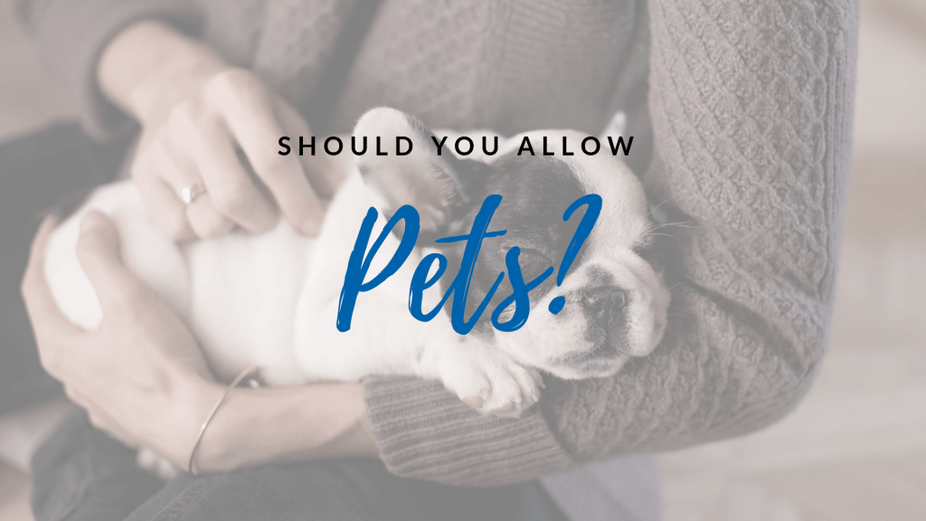 Is it Wise to Rent in Ashburn, VA to Tenants who Own Pets?